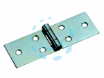 CERNIERE LUNGHE CON PERNO FISSO - mm.25x100x1