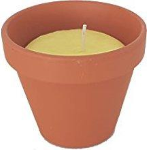 CITRONELLA IN VASO COCCIO